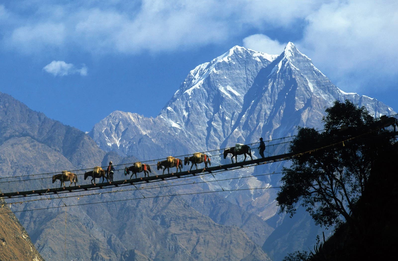 Trekkers on a Himalayan trail