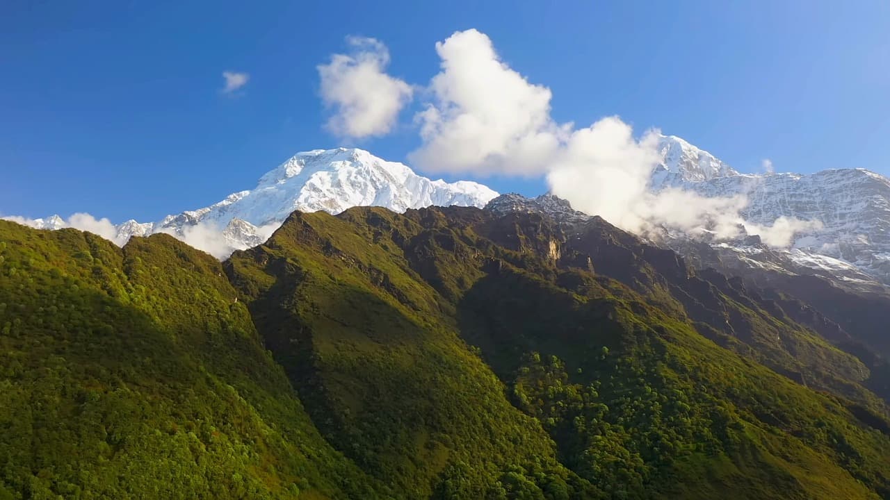 Trekkers in the Himalayas